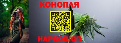 сатива Кунгур
